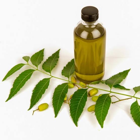 neem oil